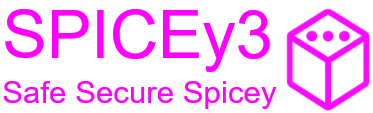 SPICEy3 Consulting GmbH Logo